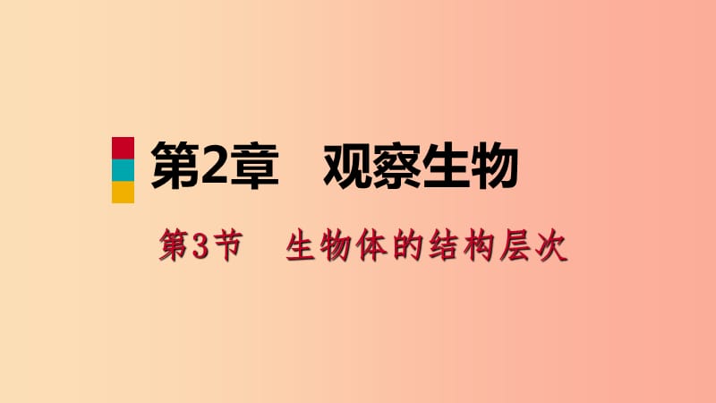 2019年秋七年级科学上册 第2章 观察生物 第3节 生物体的结构层次 2.3.3 导学课件（新版）浙教版.ppt_第1页