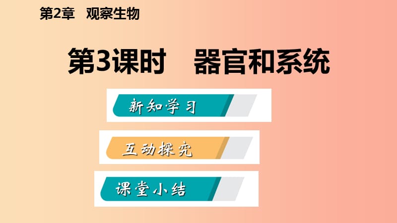 2019年秋七年级科学上册 第2章 观察生物 第3节 生物体的结构层次 2.3.3 导学课件（新版）浙教版.ppt_第2页