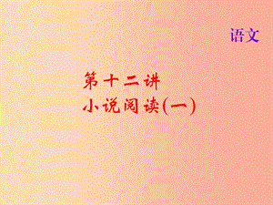 2019屆中考語(yǔ)文名師復(fù)習(xí) 第十二講 小說(shuō)閱讀（一）課件.ppt