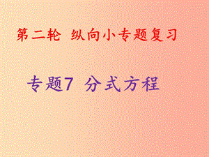 2019中考數(shù)學(xué)總復(fù)習(xí) 第二輪 縱向小專題復(fù)習(xí) 專題7 分式方程課件.ppt