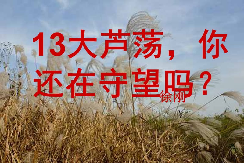 2019年八年级语文上册 第四单元 第13课《大芦荡你还在守望吗》课件1 沪教版五四制.ppt_第2页