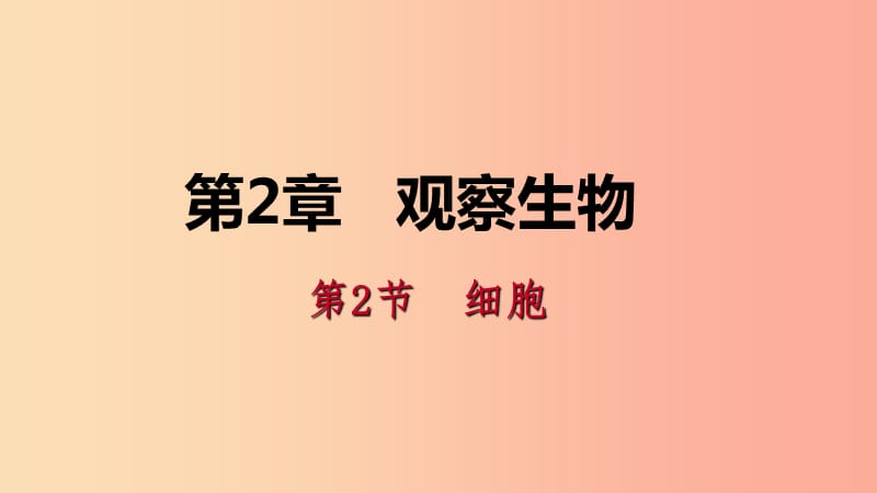 2019年秋七年级科学上册 第2章 观察生物 2.2 细胞 2.2.3 观察动物细胞和植物细胞导学课件（新版）浙教版.ppt_第1页