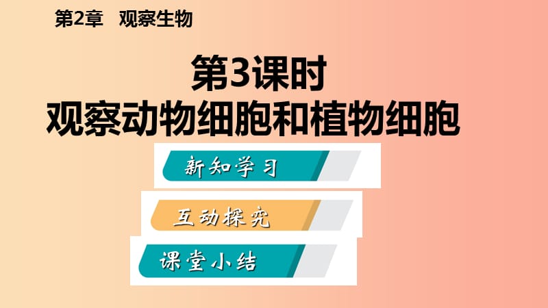 2019年秋七年级科学上册 第2章 观察生物 2.2 细胞 2.2.3 观察动物细胞和植物细胞导学课件（新版）浙教版.ppt_第2页