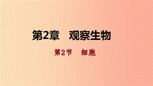 2019年秋七年級(jí)科學(xué)上冊(cè) 第2章 觀察生物 2.2 細(xì)胞 2.2.3 觀察動(dòng)物細(xì)胞和植物細(xì)胞導(dǎo)學(xué)課件（新版）浙教版.ppt