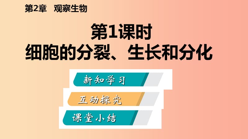 2019年秋七年级科学上册 第2章 观察生物 第3节 生物体的结构层次 2.3.1 导学课件（新版）浙教版.ppt_第2页