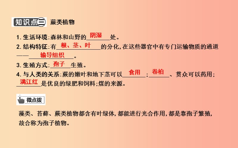 2019年七年级生物上册3.1.1藻类苔藓和蕨类植物复习课件 新人教版.ppt_第3页