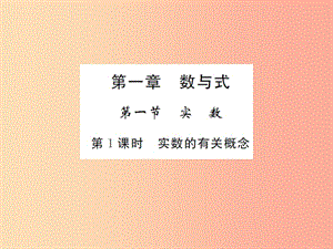 2019屆中考數(shù)學(xué)總復(fù)習(xí) 第一章 數(shù)與式 第一節(jié) 實(shí)數(shù) 第1課時(shí) 實(shí)數(shù)的有關(guān)概念課件.ppt