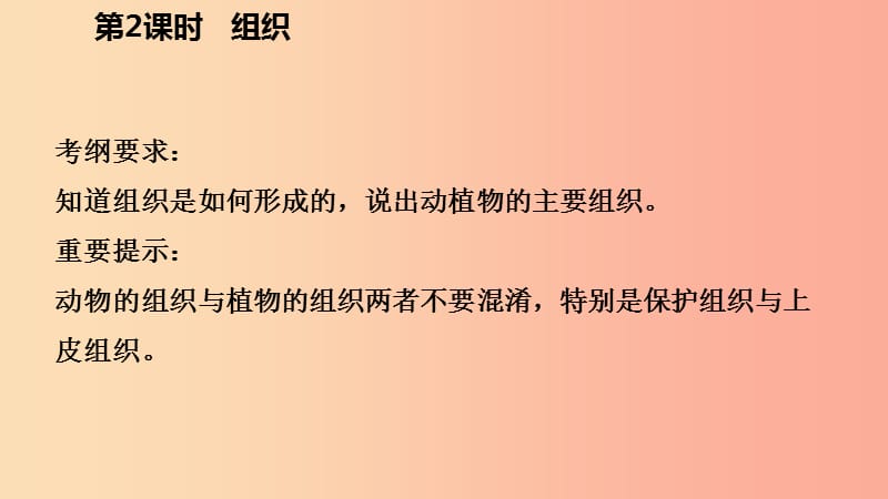 2019年秋七年级科学上册第2章观察生物第3节生物体的结构层次2.3.2导学课件新版浙教版.ppt_第3页