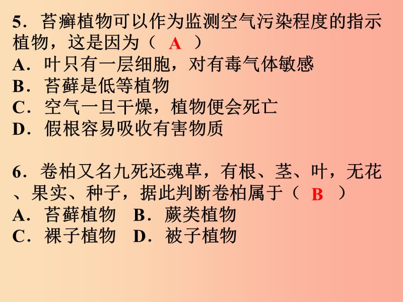 2019年七年级生物上册 第三单元 生物圈中的绿色植物课件 新人教版.ppt_第3页