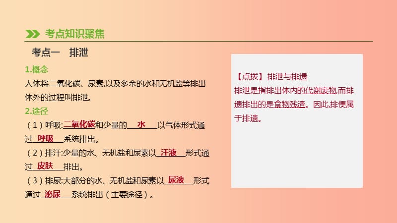 2019年中考生物 专题复习四 生物圈中的人 第16课时 人体内废物的排出课件 新人教版.ppt_第2页