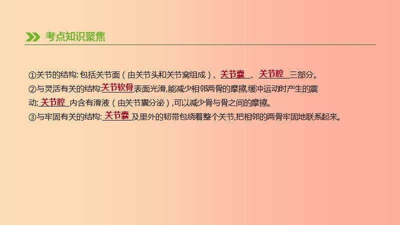 2019年中考生物 专题复习五 生物的多样性及其保护 第20课时 动物的运动和行为课件 新人教版.ppt_第3页