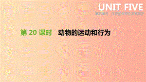 2019年中考生物 專題復習五 生物的多樣性及其保護 第20課時 動物的運動和行為課件 新人教版.ppt