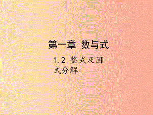 2019屆中考數(shù)學(xué)復(fù)習(xí) 第一章 數(shù)與式 1.2 整式及因式分解課件.ppt