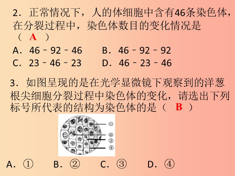 2019年七年级生物上册 第二单元 第二章 细胞怎样构成生物体课件 新人教版.ppt_第2页