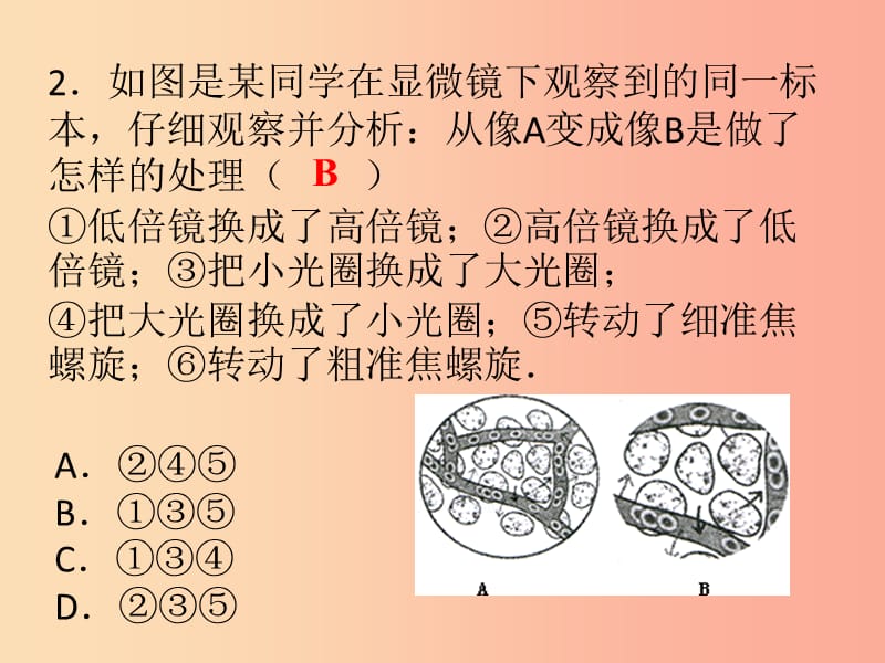 2019年七年级生物上册 第二单元 第一章 细胞是生命活动的基本单位课件 新人教版.ppt_第2页