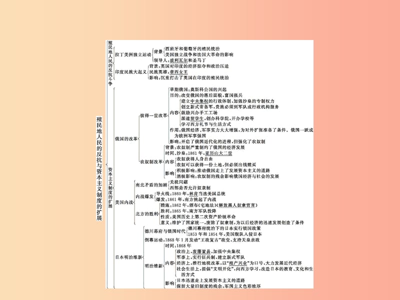 2019年春九年级历史下册 第一单元 殖民地人民的反抗与资本主义制度的扩展单元整合课件 新人教版.ppt_第2页