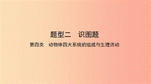 2019中考生物總復(fù)習(xí) 第二部分 重點題型探究 題型二 識圖題 第四類 動物課件.ppt