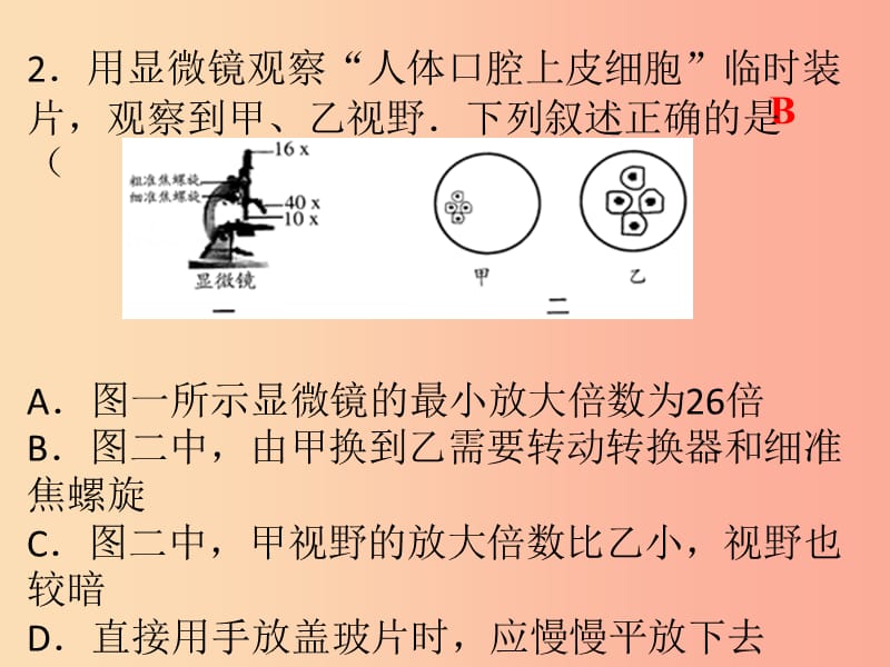 2019年七年级生物上册 第二单元 生物体的结构层次综合检测课件 新人教版.ppt_第2页