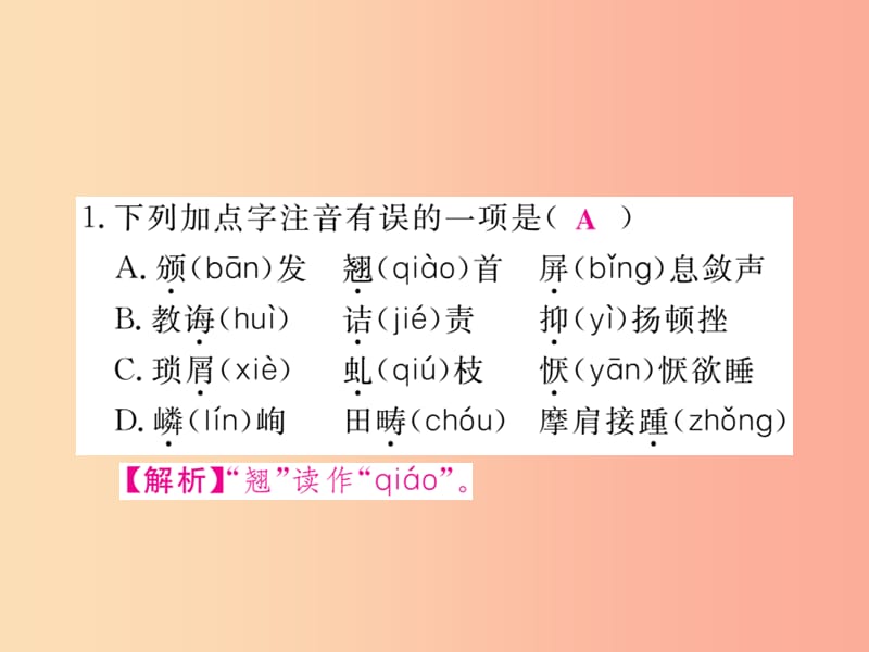 2019年八年级语文上册 专题一 字音字形课件 新人教版.ppt_第2页