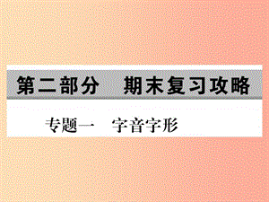 2019年八年級語文上冊 專題一 字音字形課件 新人教版.ppt