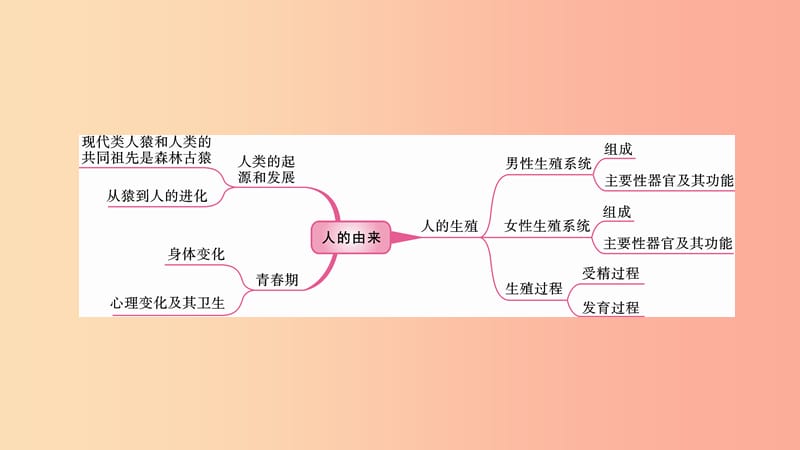 2019中考生物总复习 第一部分 基础考点巩固 第四单元 生物圈中的人 第一章 人的由来课件.ppt_第2页