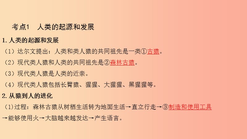 2019中考生物总复习 第一部分 基础考点巩固 第四单元 生物圈中的人 第一章 人的由来课件.ppt_第3页