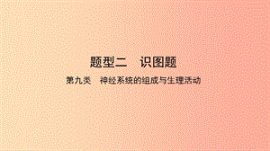 2019中考生物總復習 第二部分 重點題型探究 題型二 識圖題 第九類 神經(jīng)課件.ppt