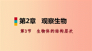 2019年秋七年級科學上冊 第2章 觀察生物 第3節(jié) 生物體的結構層次 2.3.2 導學課件（新版）浙教版.ppt