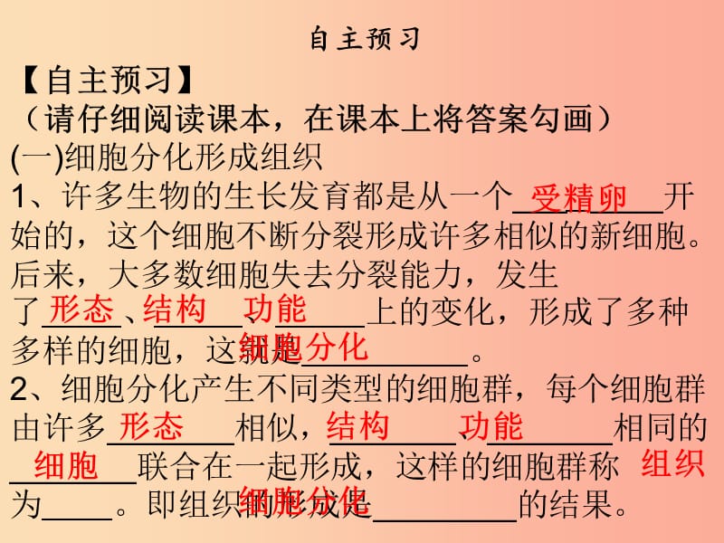 2019年七年级生物上册 第2单元 第4章 第1节 细胞分化形成组织课件（新版）北师大版.ppt_第3页