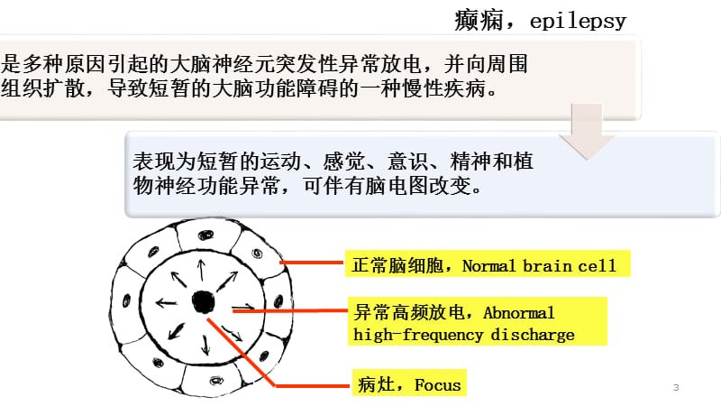 药理抗癫ppt课件_第3页