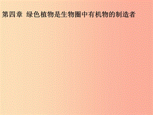 吉林省七年級生物上冊 3.4 綠色植物是生物圈中有機(jī)物的制造者課件 新人教版.ppt