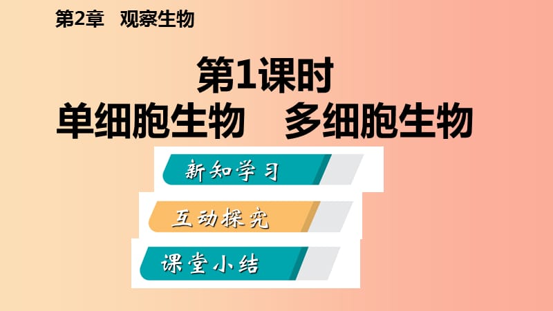 七年级科学上册 第2章 观察生物 第6节 物种的多样性 2.6.1 单细胞生物 多细胞生物导学课件 浙教版.ppt_第2页