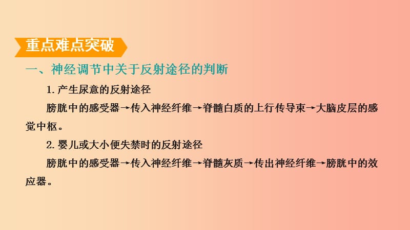 山东省2019年中考生物专题复习三生命活动的调节课件济南版.ppt_第2页