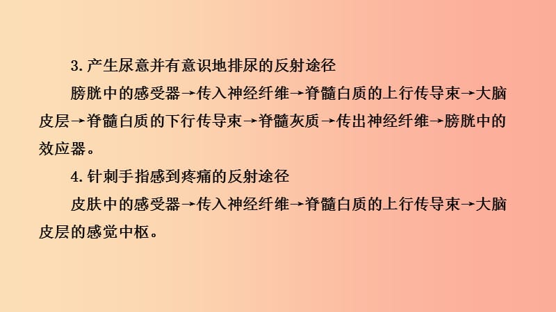 山东省2019年中考生物专题复习三生命活动的调节课件济南版.ppt_第3页