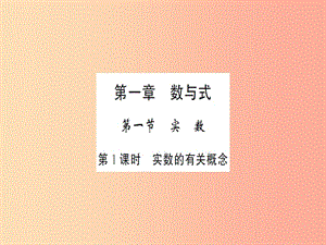 湖北省2019中考數(shù)學(xué)一輪復(fù)習(xí) 第一章 數(shù)與式 第一節(jié) 實(shí)數(shù) 第1課時 實(shí)數(shù)的有關(guān)概念（習(xí)題提升）課件.ppt