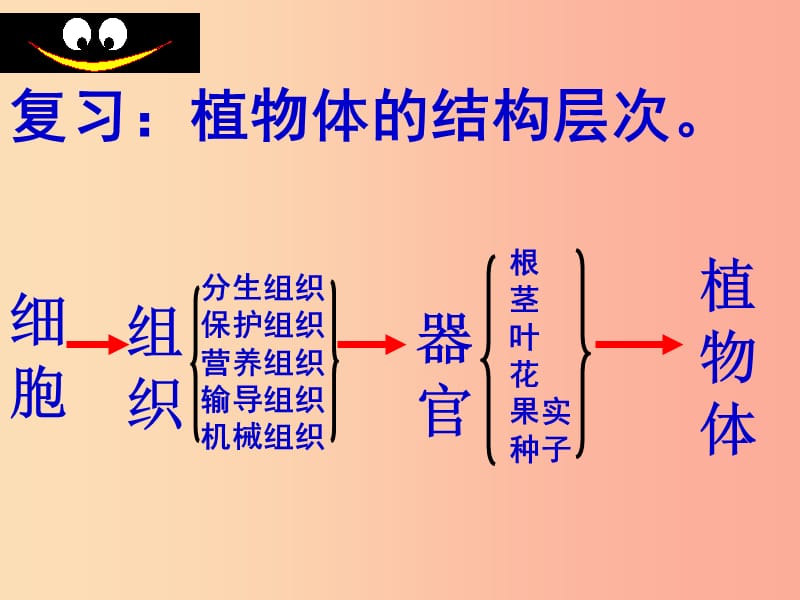 陜西省七年級生物上冊 2.2.4 單細(xì)胞生物課件 新人教版.ppt_第1頁