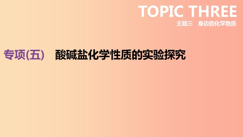 北京市2019年中考化学总复习 专项05 酸碱盐化学性质的实验探究课件.ppt_第1页