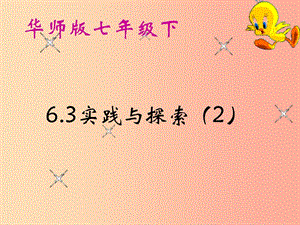 河南省七年級(jí)數(shù)學(xué)下冊(cè) 6.3 實(shí)踐與探索（2）課件 華東師大版.ppt