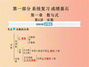 山東省泰安市2019年中考數(shù)學(xué)一輪復(fù)習(xí) 第一部分 系統(tǒng)復(fù)習(xí) 成績基石 第一章 數(shù)與式 第1講 實數(shù)課件.ppt