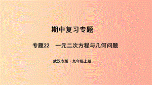 （武漢專版）2019年秋九年級數(shù)學上冊 期中復(fù)習專題 專題22 一元二次方程與幾何問題課件 新人教版.ppt