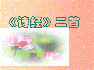 2019秋九年級(jí)語(yǔ)文上冊(cè) 第五單元 第16課《詩(shī)經(jīng)二首》課件2 蘇教版.ppt