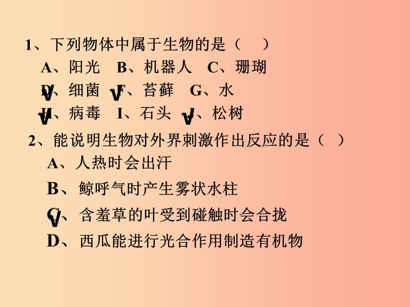 广东省汕头市七年级生物上册 期中复习课件 新人教版.ppt_第3页