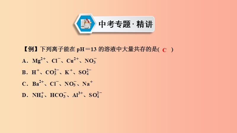 中考化学总复习 第二部分 专题综合强化 专题四 物质的检验、鉴别、分离、除杂与共存 类型3 物质的共存课件.ppt_第2页