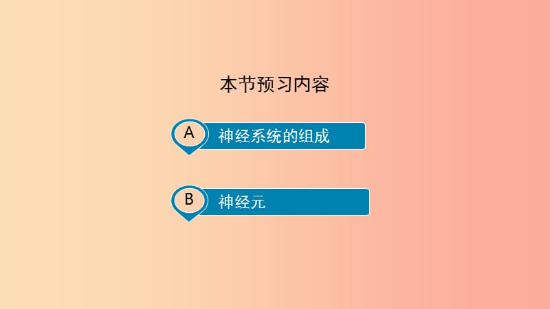 七年级生物下册4.6.2神经系统的组成预习课件 新人教版.ppt_第3页