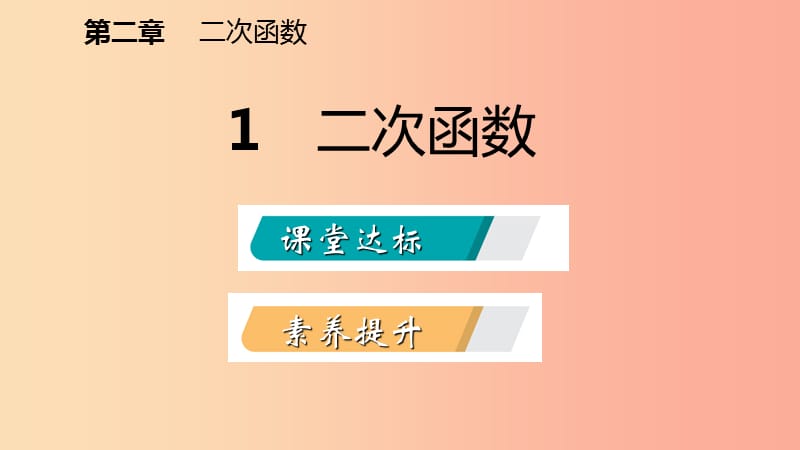 九年级数学下册 第二章 二次函数 2.1 二次函数课件 （新版）北师大版.ppt_第2页