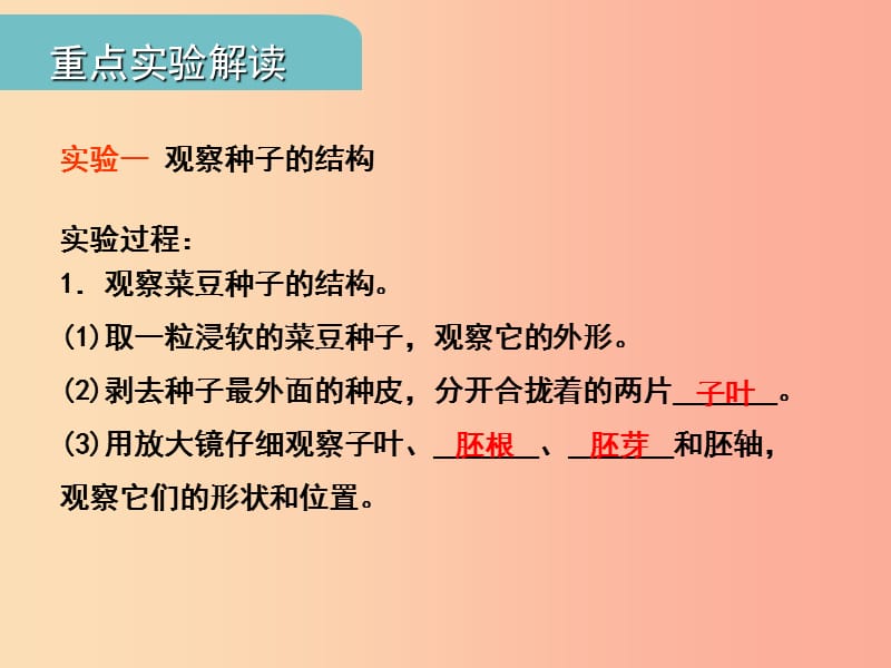 中考（江西专用）2019中考生物 四（一）绿色开花植物的一生（实验）习题课件.ppt_第2页