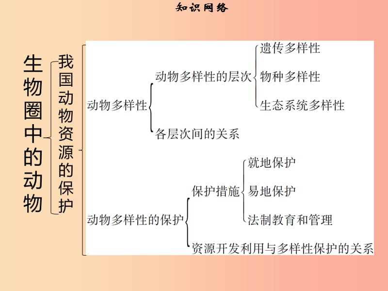 八年级生物上册第五单元第17章生物圈中的动物章末小结习题课件（新版）北师大版.ppt_第3页