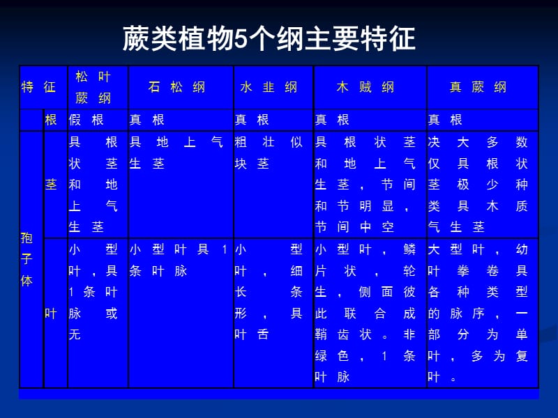 普通生物学-20蕨类植物和裸子植物的分类.ppt_第2页