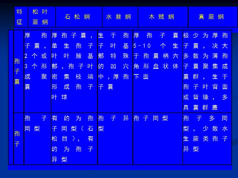 普通生物学-20蕨类植物和裸子植物的分类.ppt_第3页