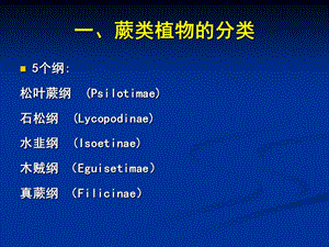 普通生物學-20蕨類植物和裸子植物的分類.ppt